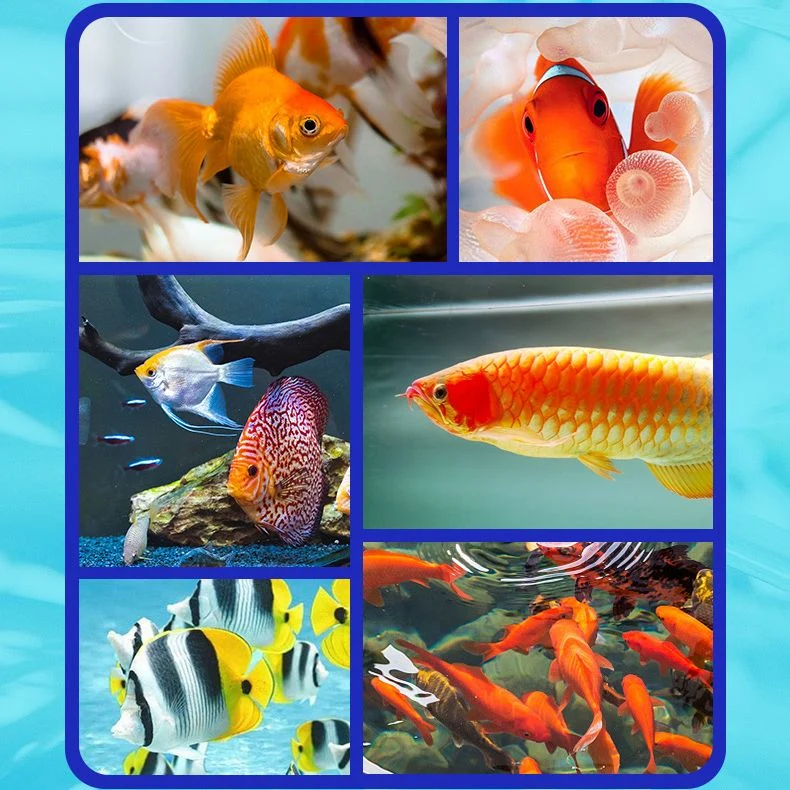 Fish Tank Water Purifier Algae Remover - Image 6