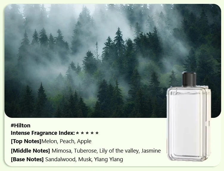🔥Automatic Aromatherapy Diffuser - Image 28