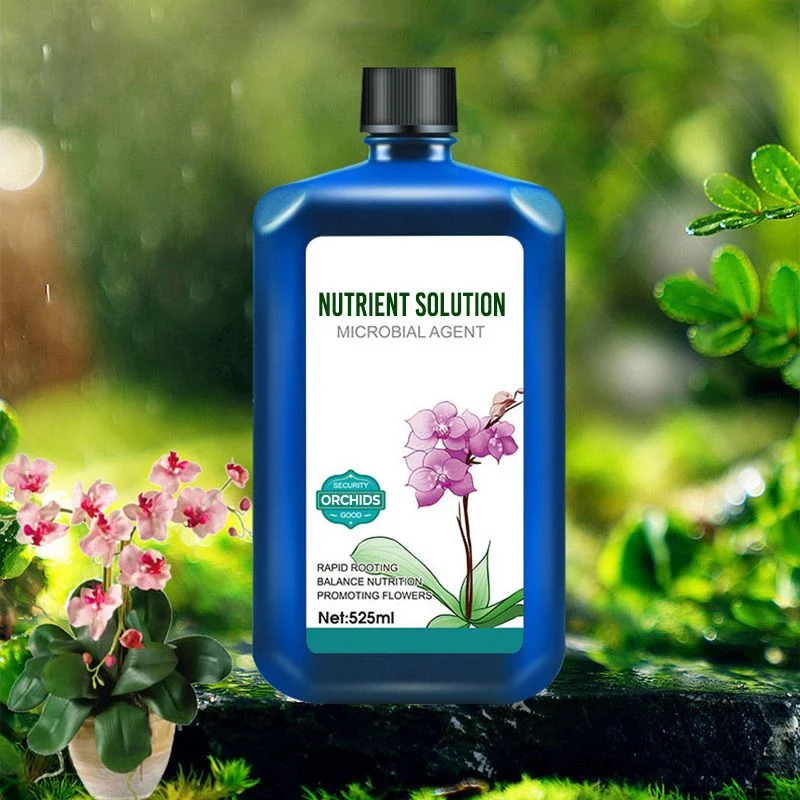 🔥🔥Flower concentrated nutrient solution - Image 6