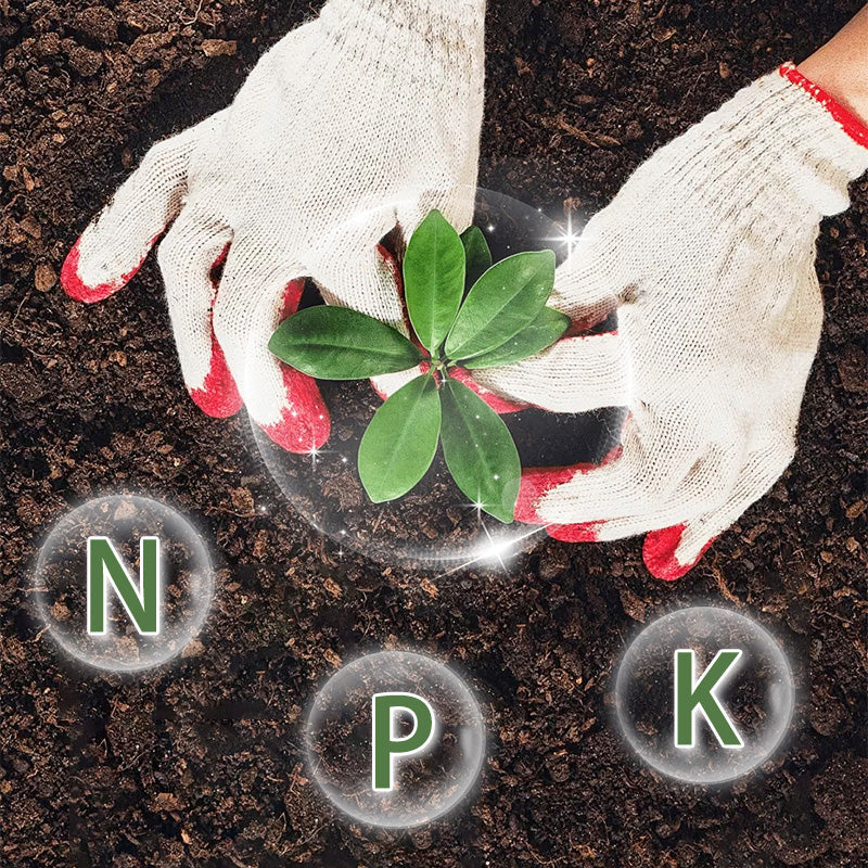 Organics Granular All Purpose Fertilizer - Image 5