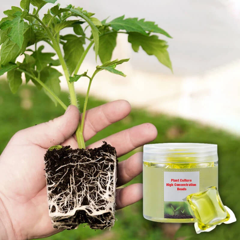 Plant Culture High Concentration Beads - Image 3
