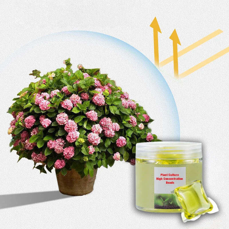 Plant Culture High Concentration Beads - Image 4
